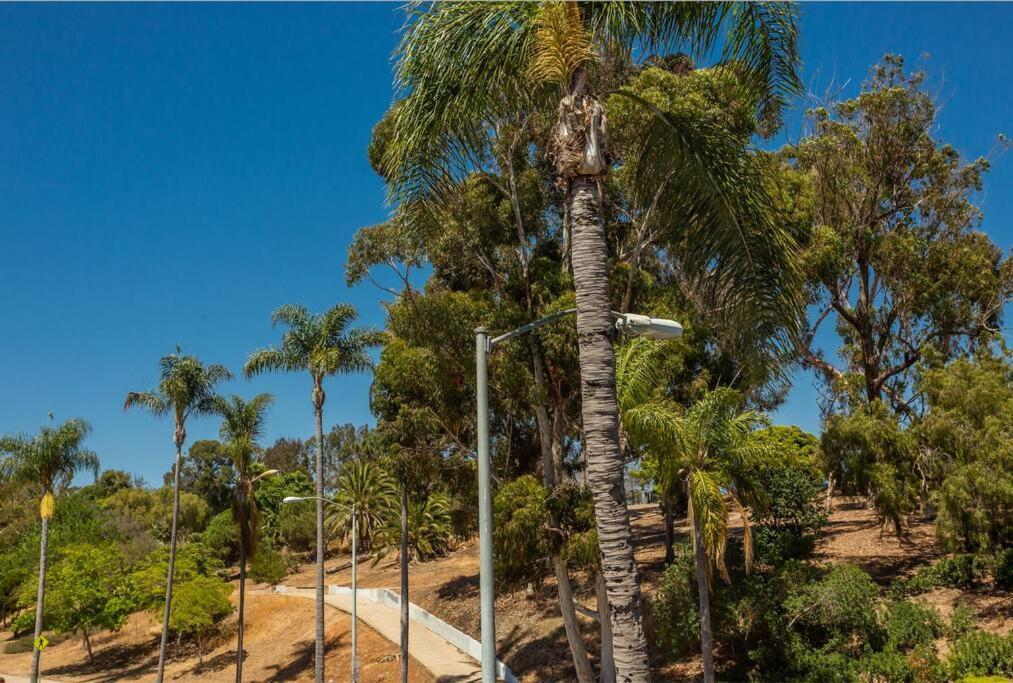 Cozy Studio Next To San Diego Dt And Balboa Park Exteriér fotografie